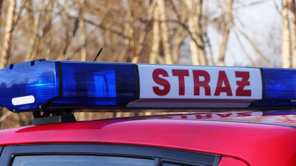 Niemądre zachowania ludzi nasilają się.