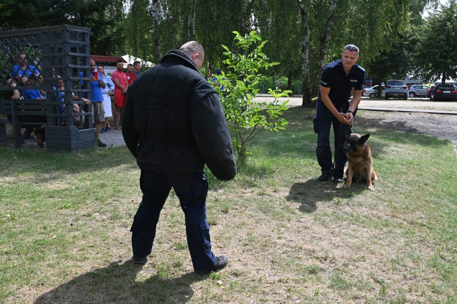 Szkolenie z udziałem psów