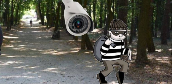 Kradzież kamer w parku miejskim