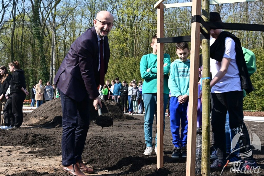 Burmistrz Sławy zasadził drzewo
