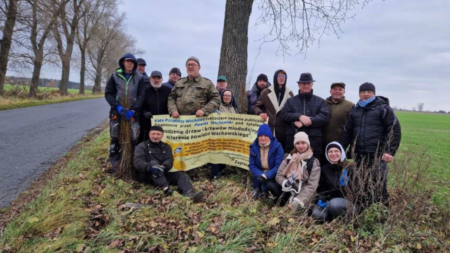 Nasadzali drzewa, rozdawali sadzonki. Pszczelarze w akcji wspartej przez Powiat Wschowski