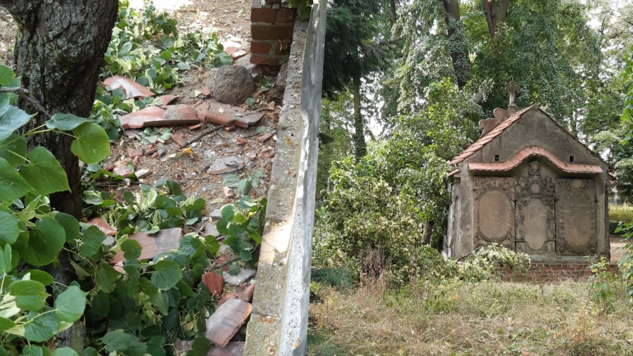 Silny wiatr połamał drzewa. Lapidarium we Wschowie zamknięte do odwołania