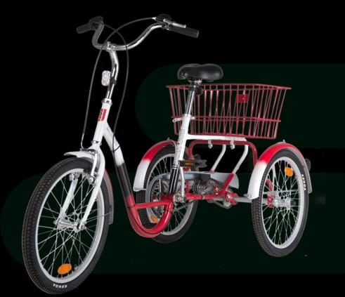 9 rowerów trójkołowych dla stowarzyszenia. 6 rowerów w bezpłatnej wypożyczalni