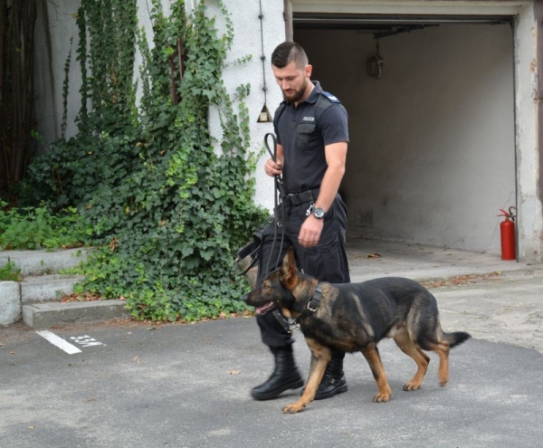 Hajo - czworonożny funkcjonariusz policji