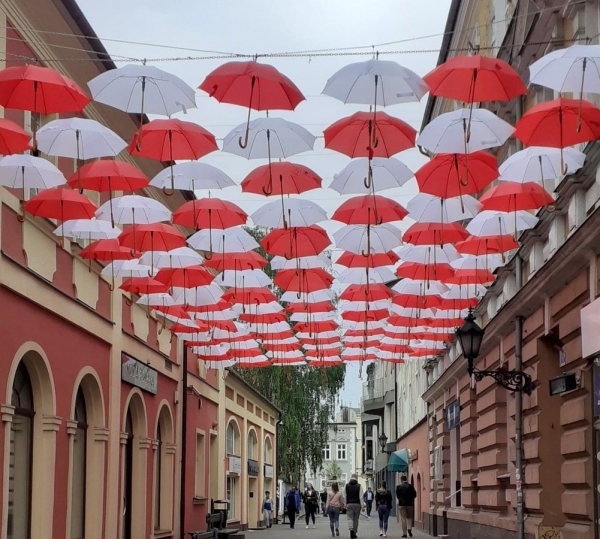 Pojawiły się kolejne parasolki (foto) 