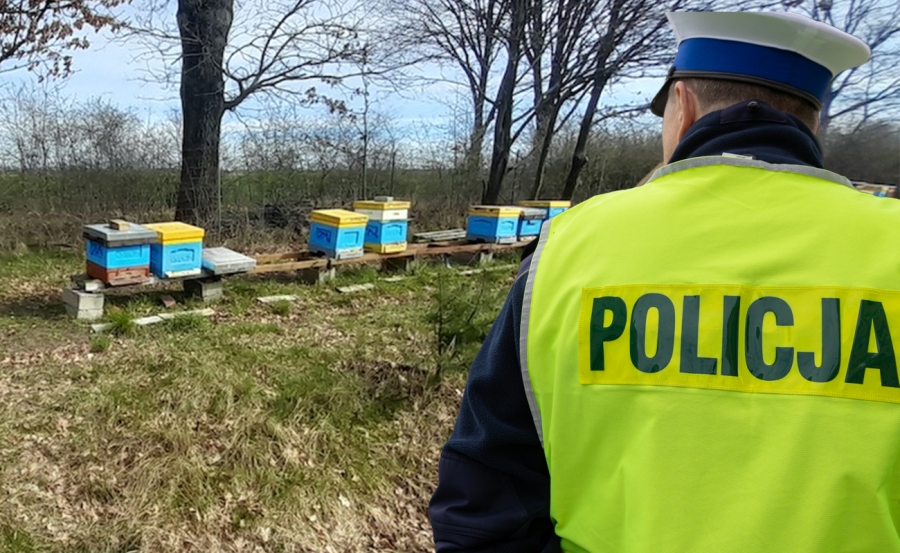 W okolicy Wschowy ujawniono kradzież rodzin pszczelich. Sprawą zajmuje się policja