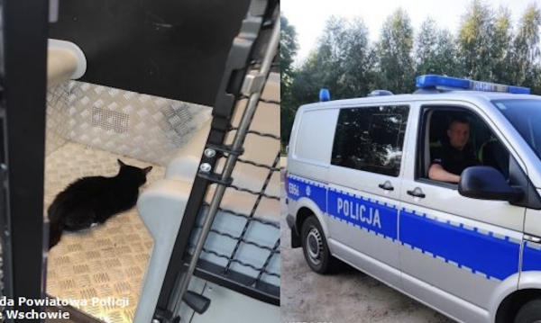 Dębowa Łęka: Policjanci uratowali małego kotka 