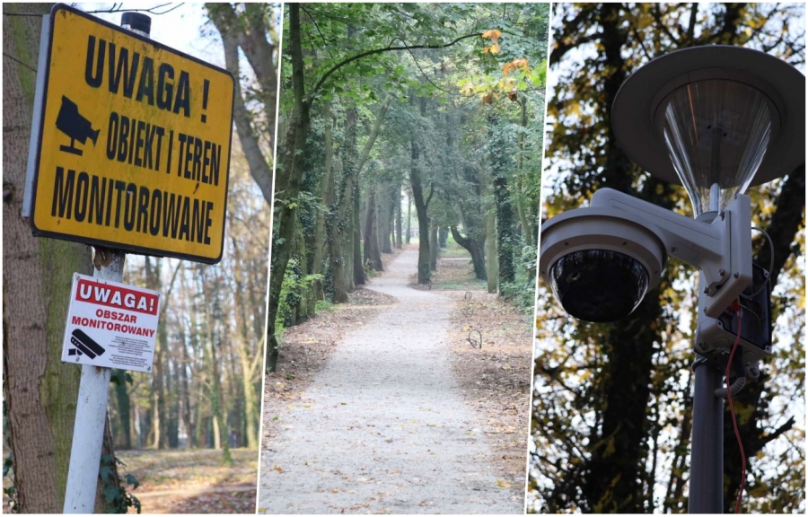 Park Wolsztyński we Wschowie będzie monitorowany
