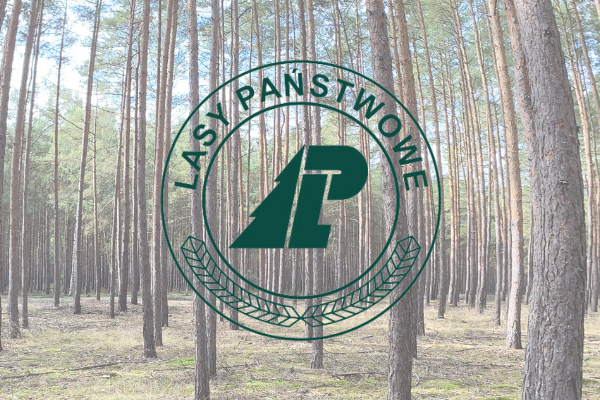 Plan urządzenia lasu dla Nadleśnictwa Włoszakowice na lata 2025-2034