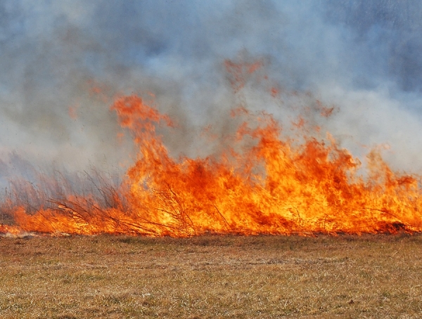 Pożary na polach w powiecie