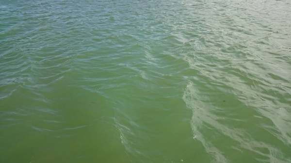 Niepokojące wiadomości ze Sławy. Zakaz kąpieli w Jeziorze Sławskim. Czekamy na wyniki badań