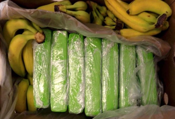160 kg kokainy w bananach.