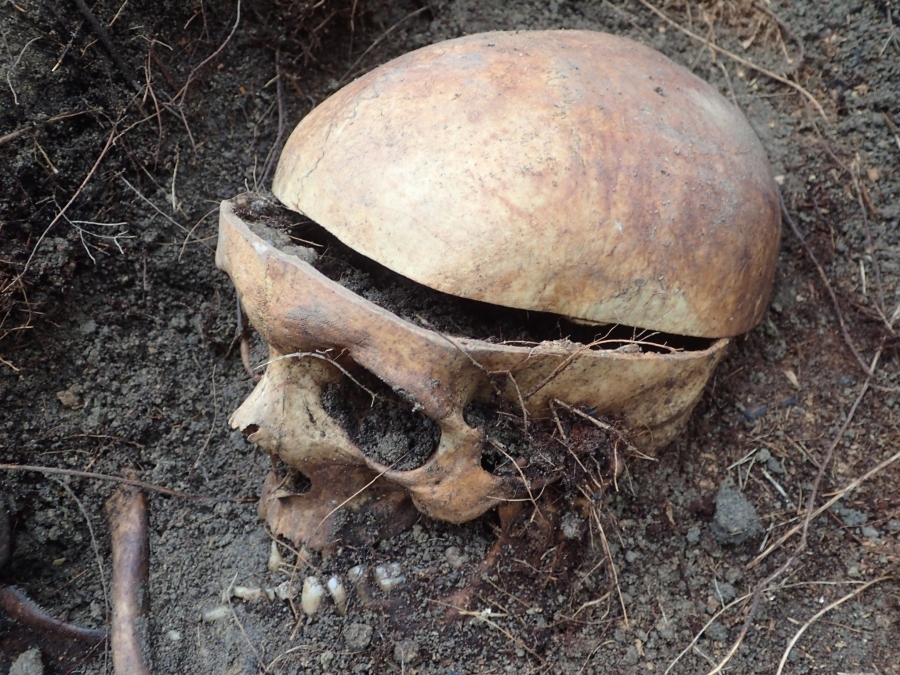 Na cmentarzu parafialnym we Wschowie doszło do ekshumacji. „Na ich kościach zarejestrowaliśmy obrażenia”  