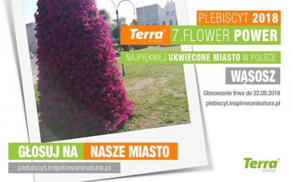 Wąsosz w plebiscycie na najpiękniej ukwiecone miasto 