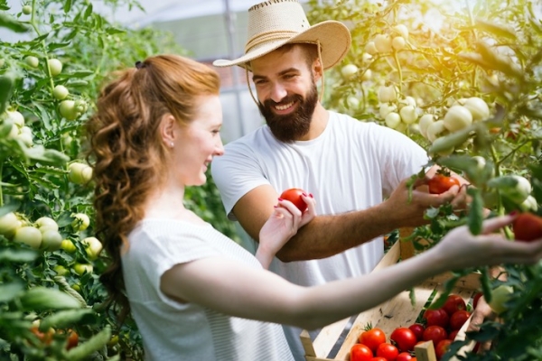 Sadzonki online - sklep ogrodniczy z dużym wyborem wyselekcjonowanych owoców i warzyw