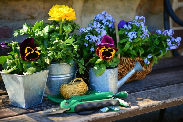 Cieszysz się swoim letnim ogrodem? Możesz sprawić, że będzie taki przez cały rok!