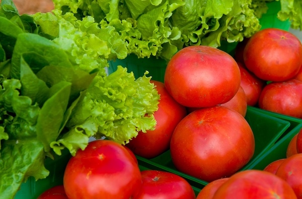 Nawożenie i uprawa warzyw