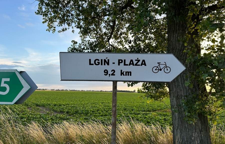 Gmina Wschowa buduje ścieżkę rowerową do Lginia. Właśnie ogłoszono przetarg na wykonawcę
