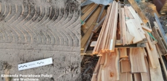 Sławscy policjanci odzyskali skradzione drewno
